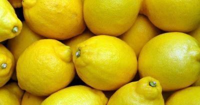 Лечат мочекаменную болезнь: какая польза лимонов для здоровья и кому их не стоит употреблять - dsnews.ua