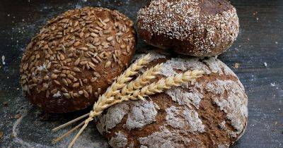 Здоровье, энергия и фигура: 6 причин отказаться от белого хлеба и начать есть черный - focus.ua - Украина - Сша