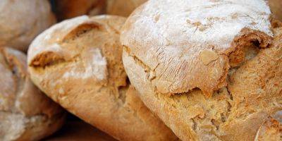 Помогает снижать холестерин. Эксперты рассказали, какой хлеб полезнее - nv.ua - Украина