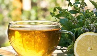 Лучше сиропов и настоек: какие чаи способны укрепить здоровье и наладить метаболизм - ukrainianwall.com - Украина
