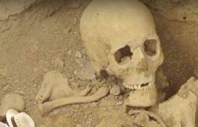 Тысячелетнее страдание: археологи обнаружили ревматоидный артрит в скелете древней жительницы - ukrainianwall.com - Украина - Египет - Судан