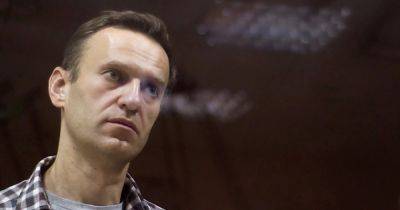 Алексей Навальный - "Невозможно подтвердить": врач Навального опроверг версию о тромбе - focus.ua - Россия - Украина
