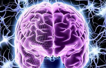 Ученые выяснили, как сохранить здоровье мозга - charter97.org - Белоруссия