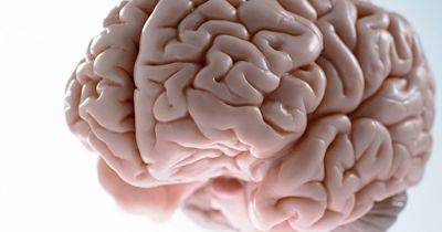 Болезнь Альцгеймера может быть заразна: что выяснили ученые - focus.ua - Украина - Колумбия