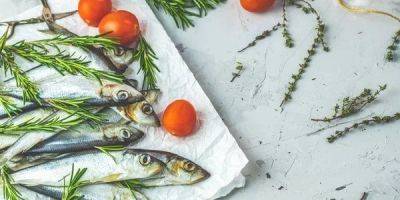 Сохранит жизнь и защитит планету. Замена красного мяса этой рыбой в рационе улучшит здоровье — исследование - nv.ua - Украина