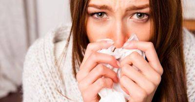 Сезоны становятся только хуже: врач рассказала, как защитить себя от вездесущей аллергии - focus.ua - Украина - Сша