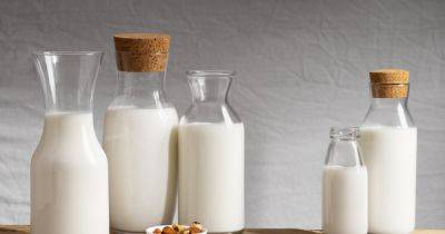 Как снизить холестерин: 5 видов молока, которые помогут уменьшить риск болезней сердца - focus.ua - Украина