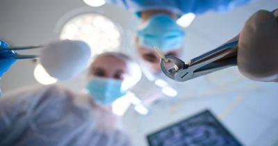 В Турции стоматолог, ставя имплант, просверлил пациенту мозг (фото) - focus.ua - Турция - Украина - Сша - Кривой Рог