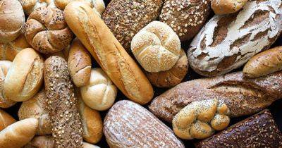Вред от хлеба: врач назвала последствия полного отказа от продукта - dsnews.ua
