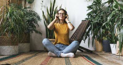 5 комнатных растений, которые избавят от стресса и улучшат психическое здоровье - focus.ua - Украина