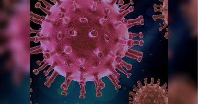 Новый «японский вирус»: врач рассказал, чем он опасен - fakty.ua - Украина - Япония