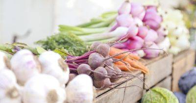 Диетолог назвал 5 осенних продуктов, которые помогут улучшить работу мозга - dsnews.ua
