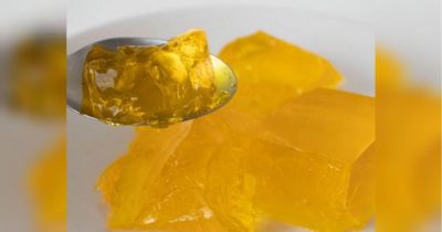 Ускоряет обмен веществ: диетолог объяснила, почему желе можно смело есть при похудении - fakty.ua - Украина