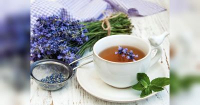 Стресс, усталость и головная боль как рукой снимет: топ самых вкусных чаев для быстрого облегчения - fakty.ua - Украина